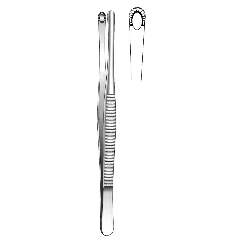 Russ Modell Tissue Forceps 25cm