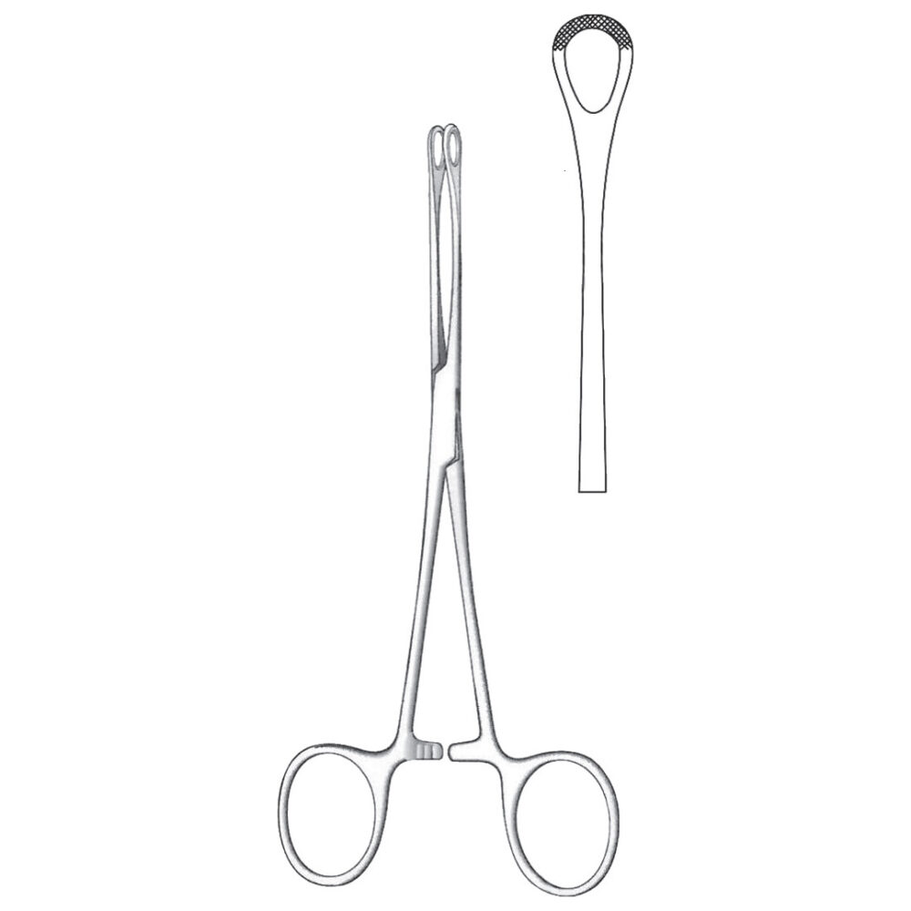 Williams Tissue Forceps 16cm