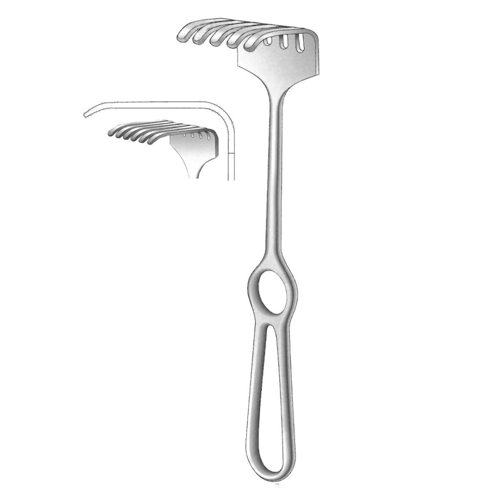 Israel Retractor, 6 Prongs, Blunt 70x70mm 25cm