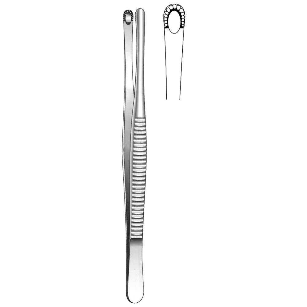 Russ Modell Tissue Forceps 20cm