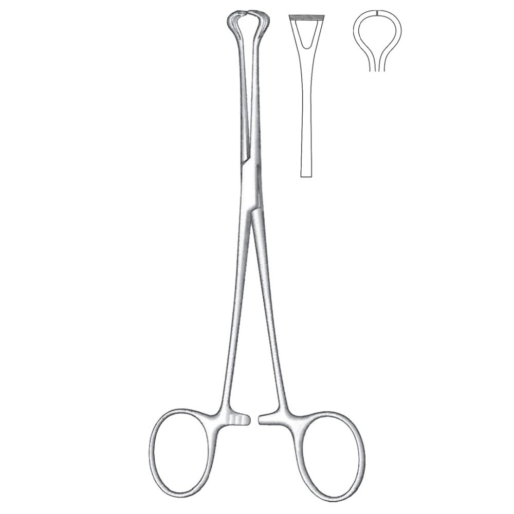 Babcock Tissue Forceps, Straight 16cm