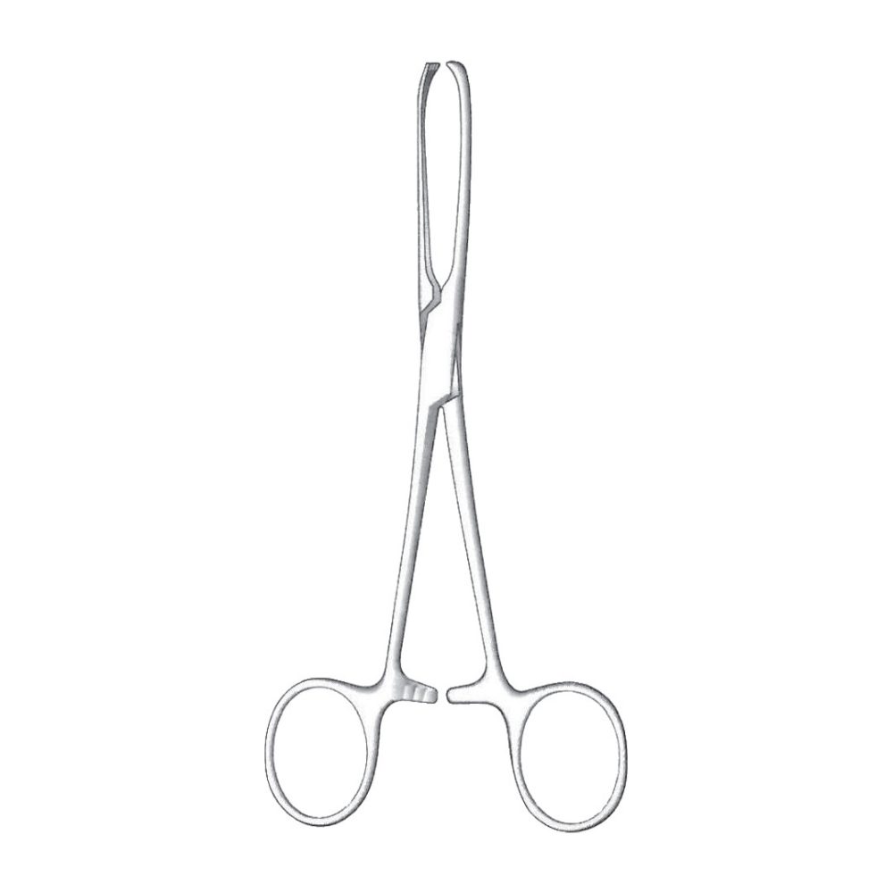 Allis Tissue Forceps, 5x6 Teeth 19cm