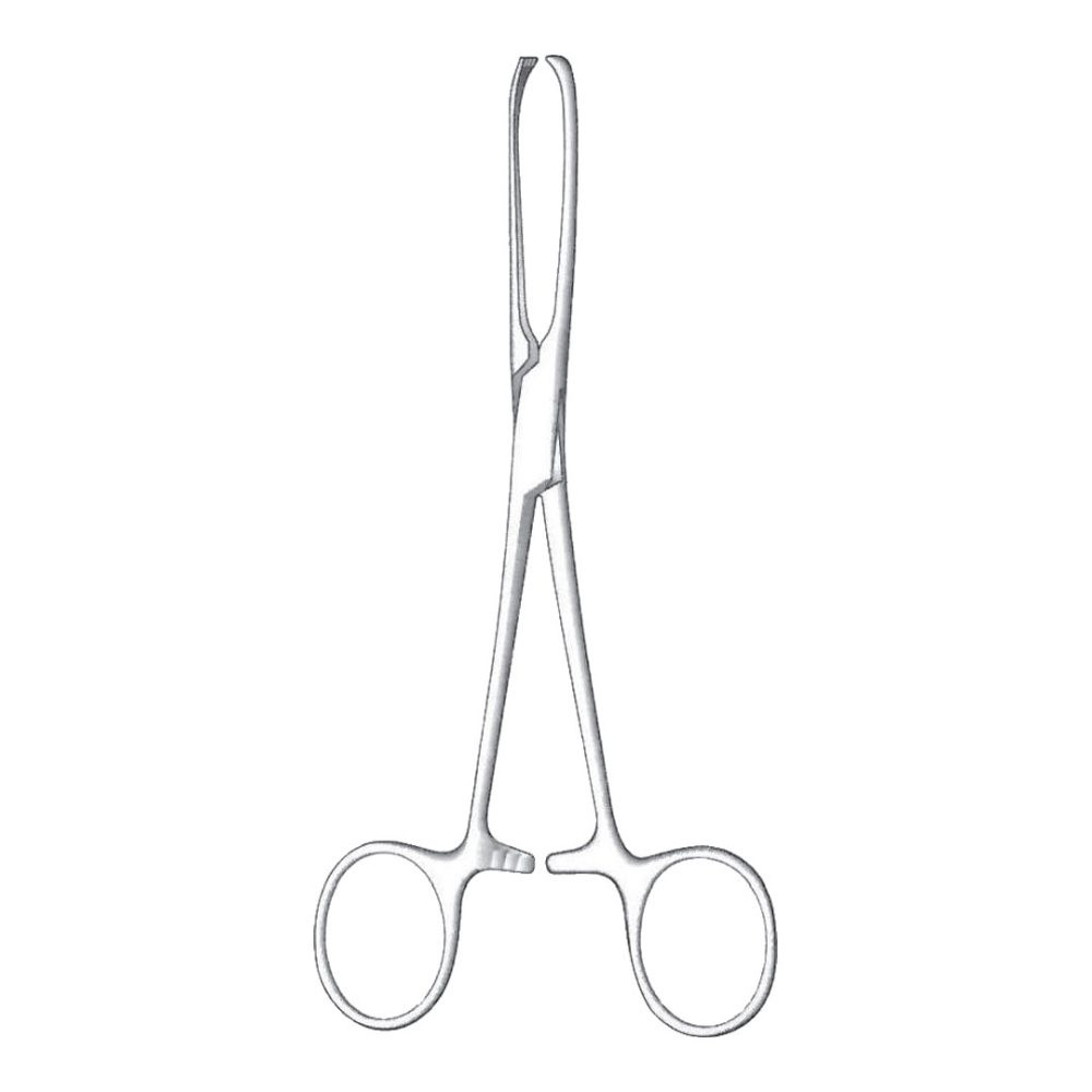 Allis Tissue Forceps, 5x6 Teeth 25cm