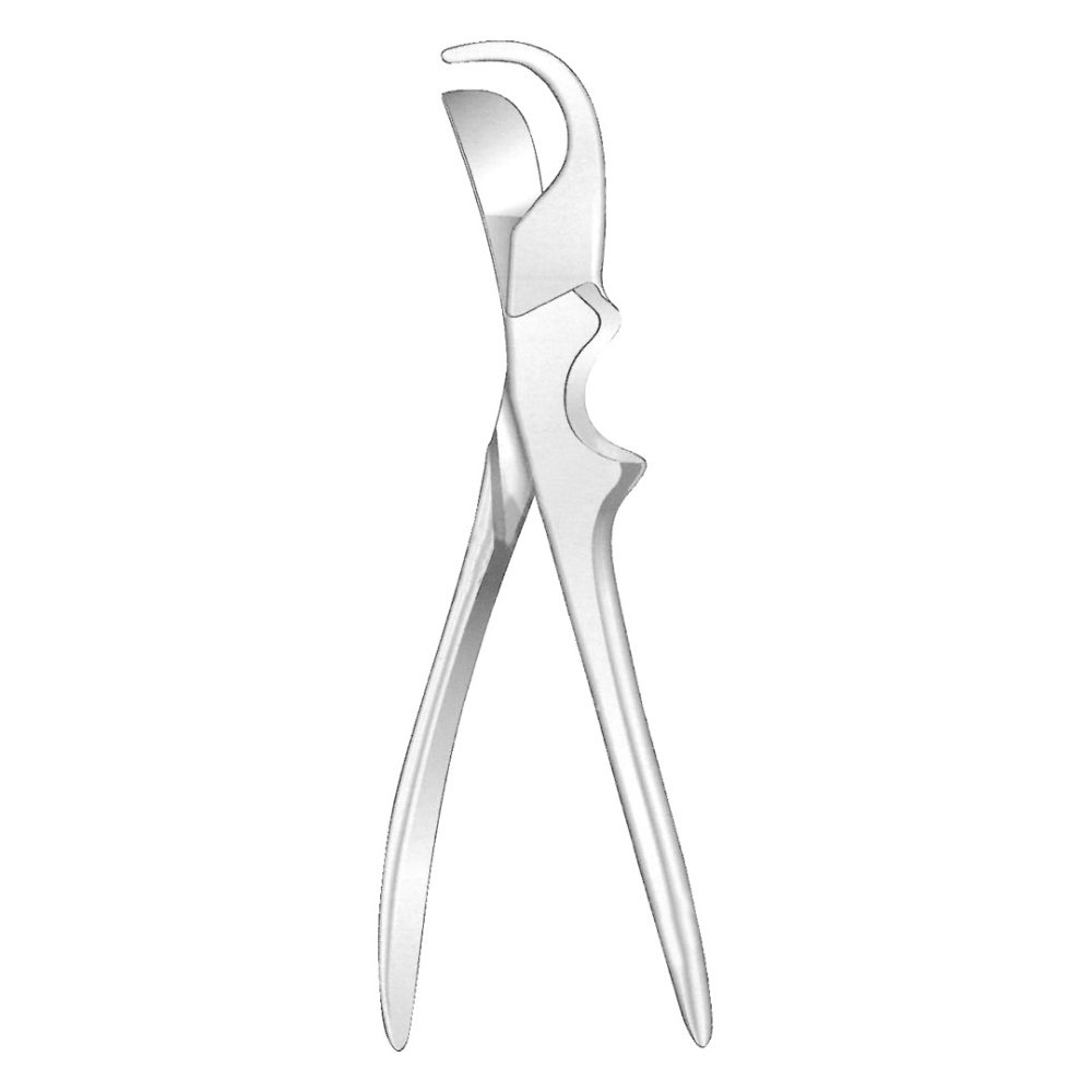 Gluck Rib Shears 22cm