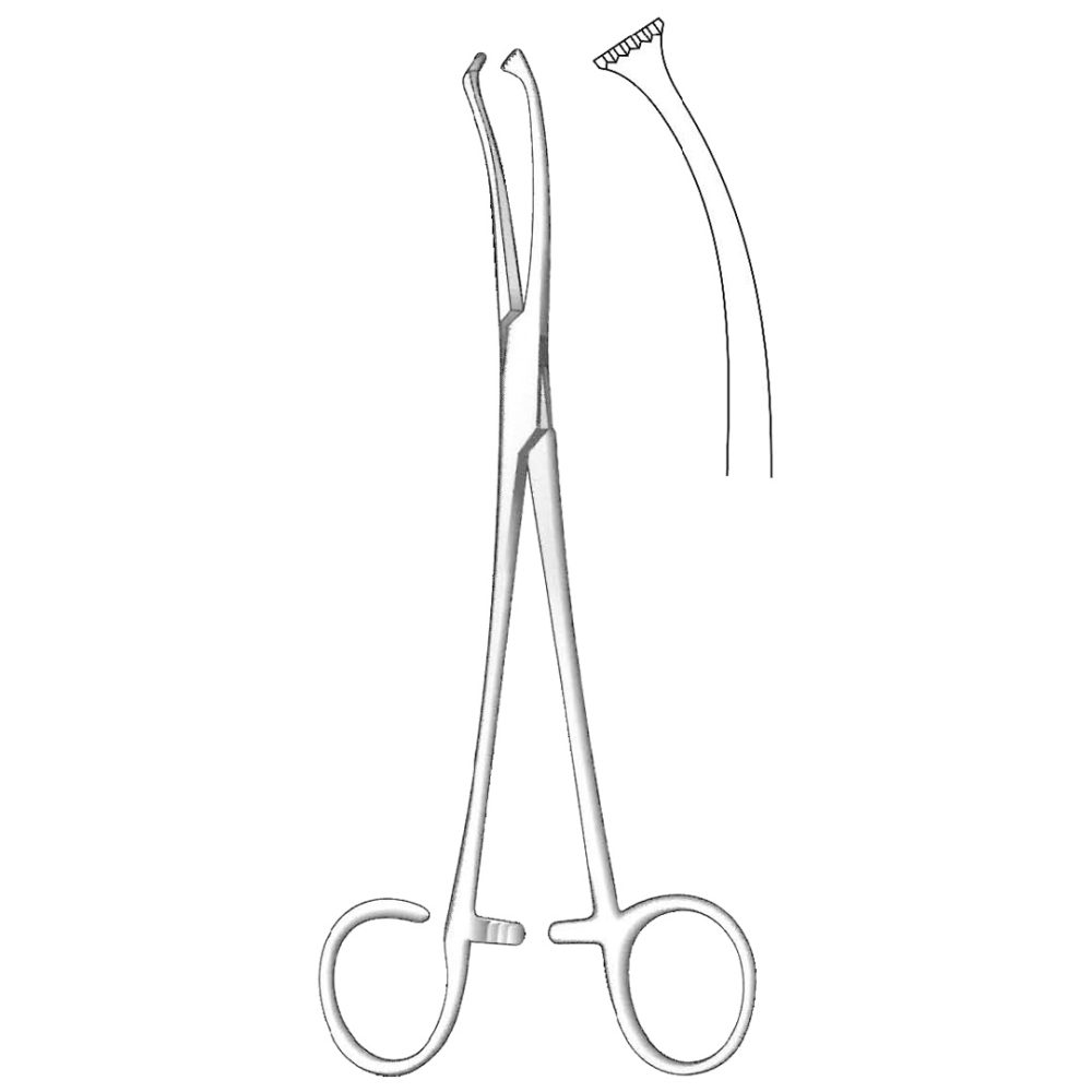 White Tonsil Seizing Forceps, Curved 18cm