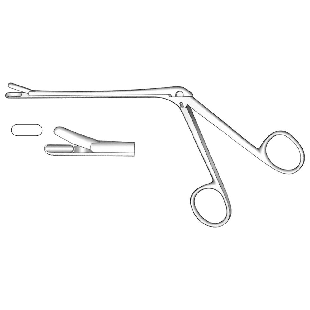 Takahashi Ethrnoid Forceps, Straight, 12cm Shaft 19cm