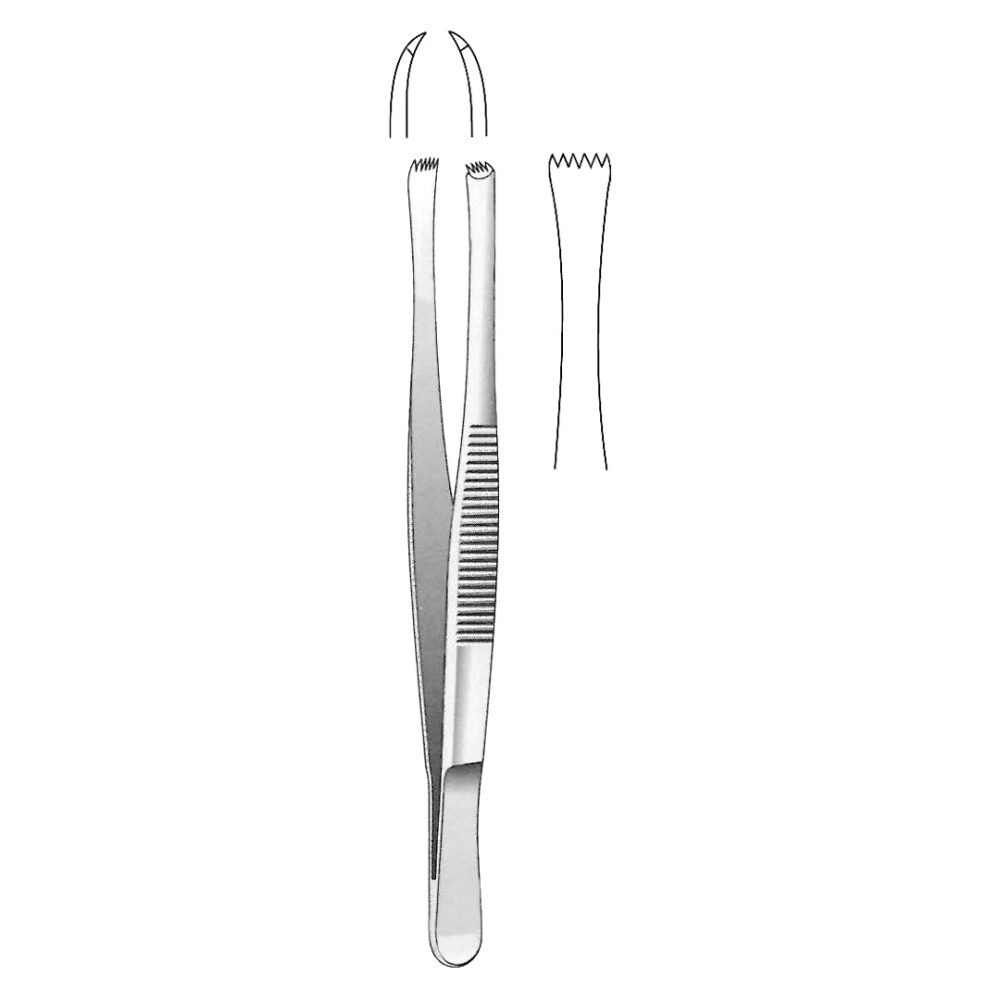 Lerche Tissue Forceps, 5 x 6 Teeth 15 cm