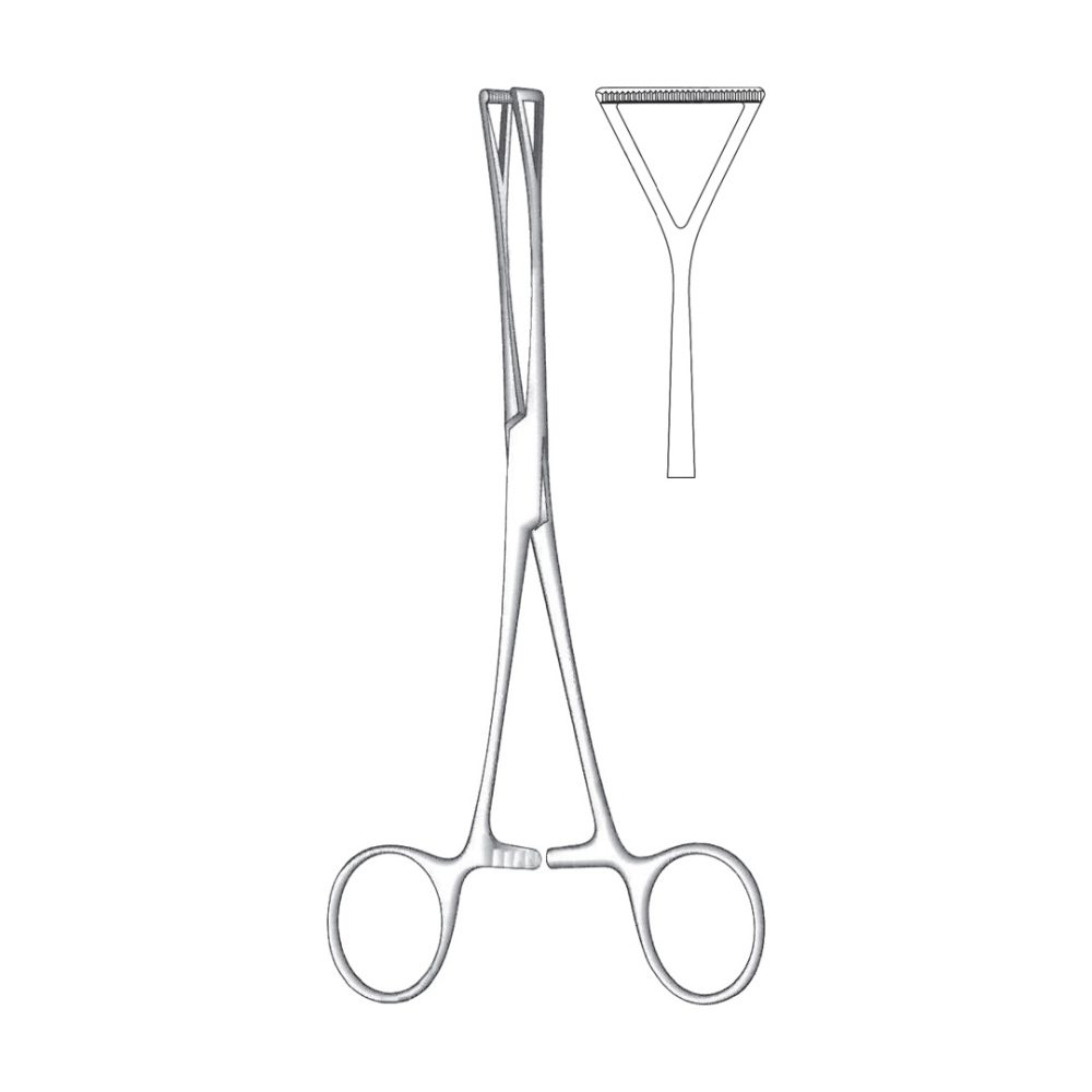 Duval Tissue Grasping Forceps, 2.5 cm / 1" Wide 23 cm