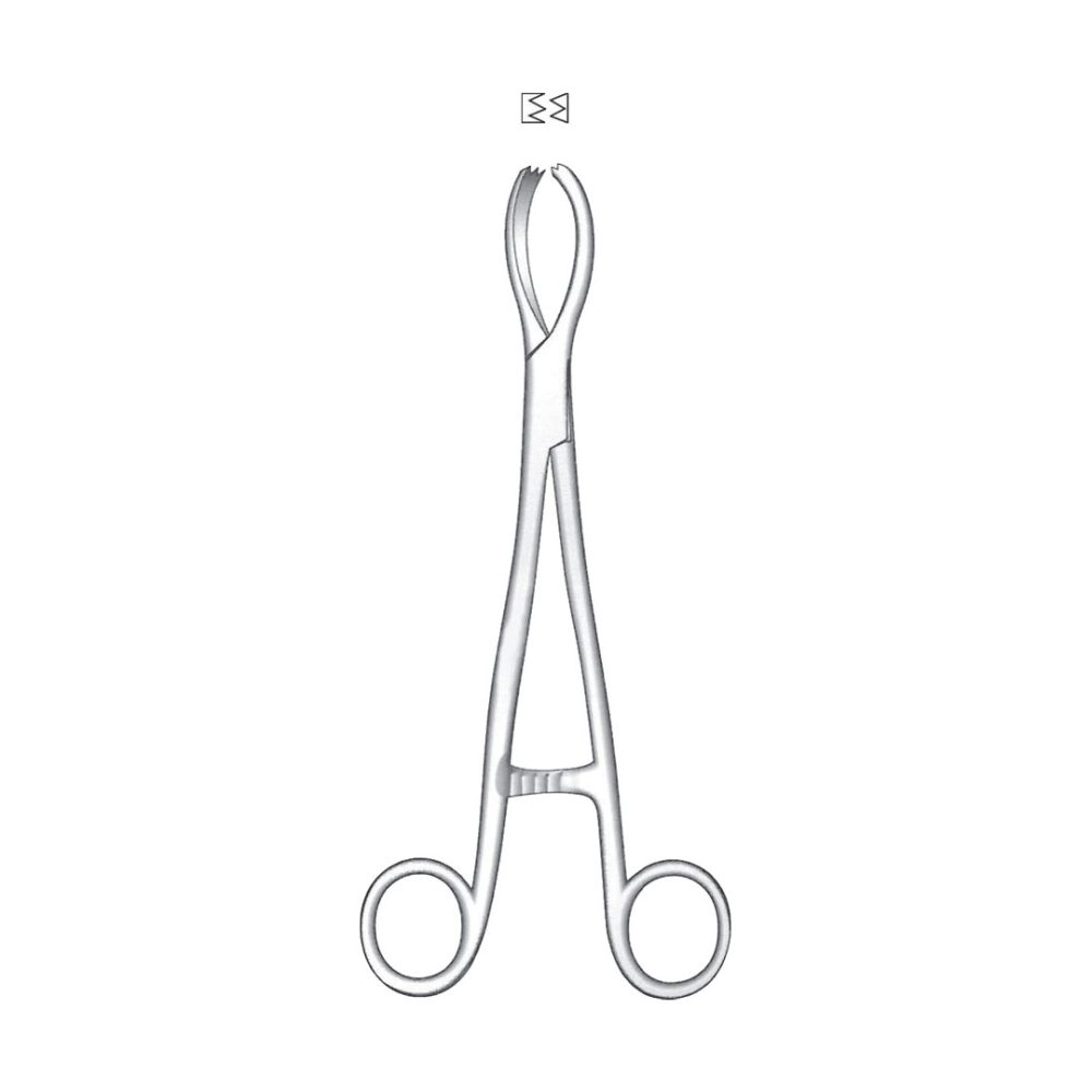 Littlewood Tissue And Organ Holding Forceps