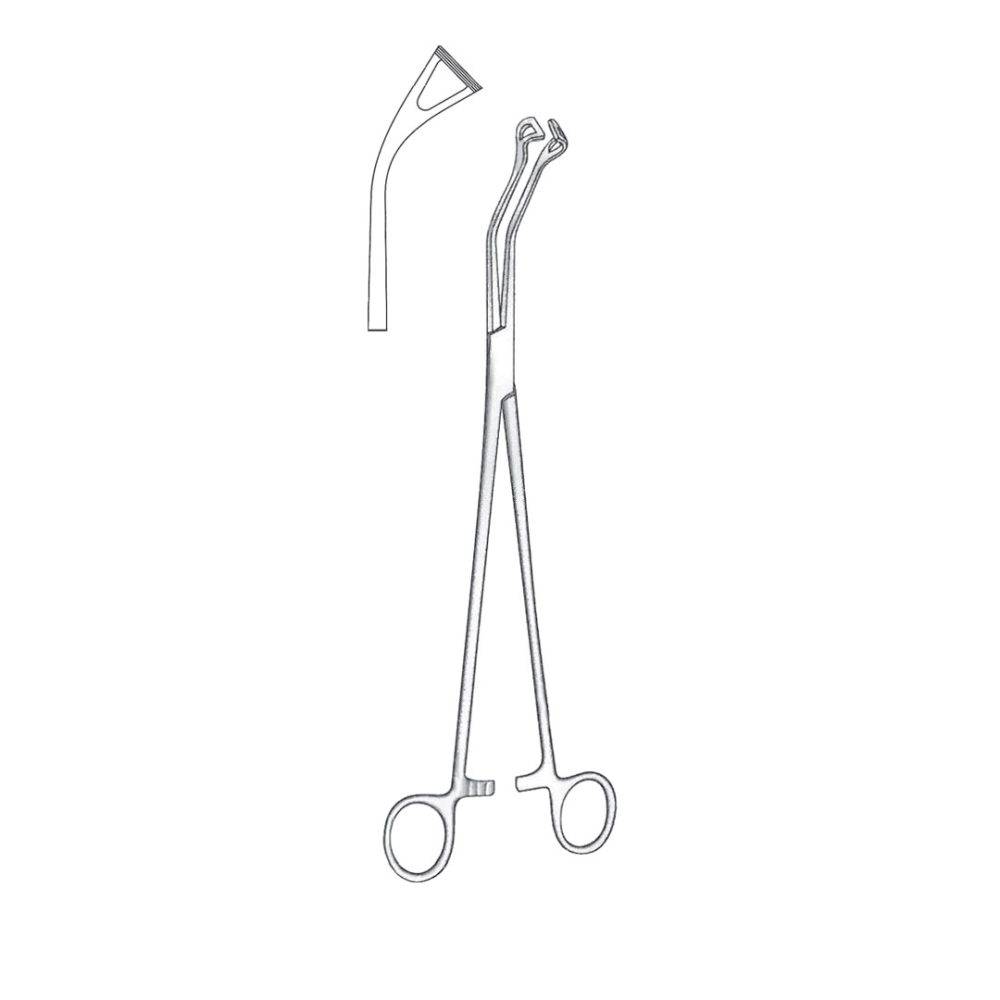 Babcock Tissue And Organ Holding Forceps