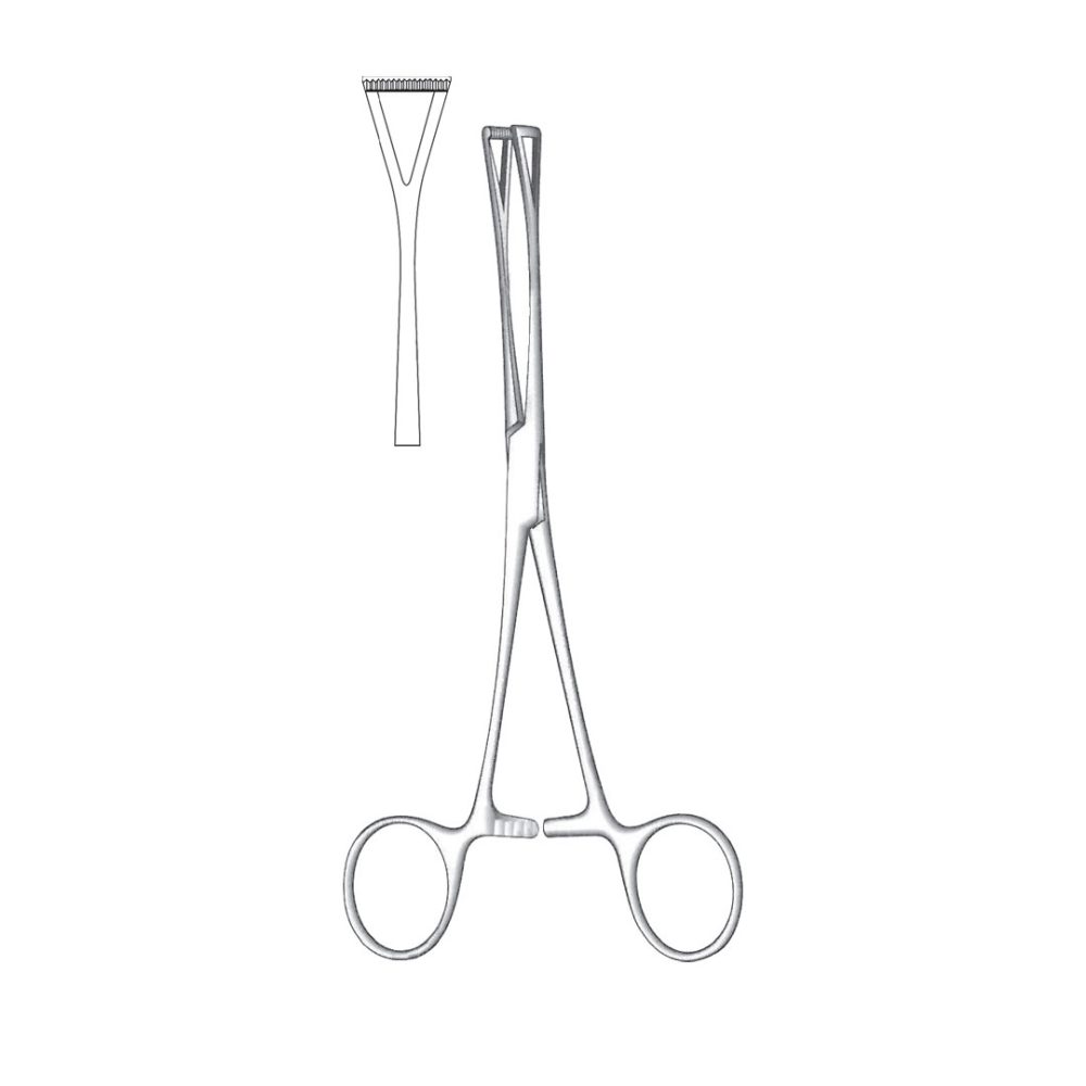 Duval Tissue And Organ Holding Forceps