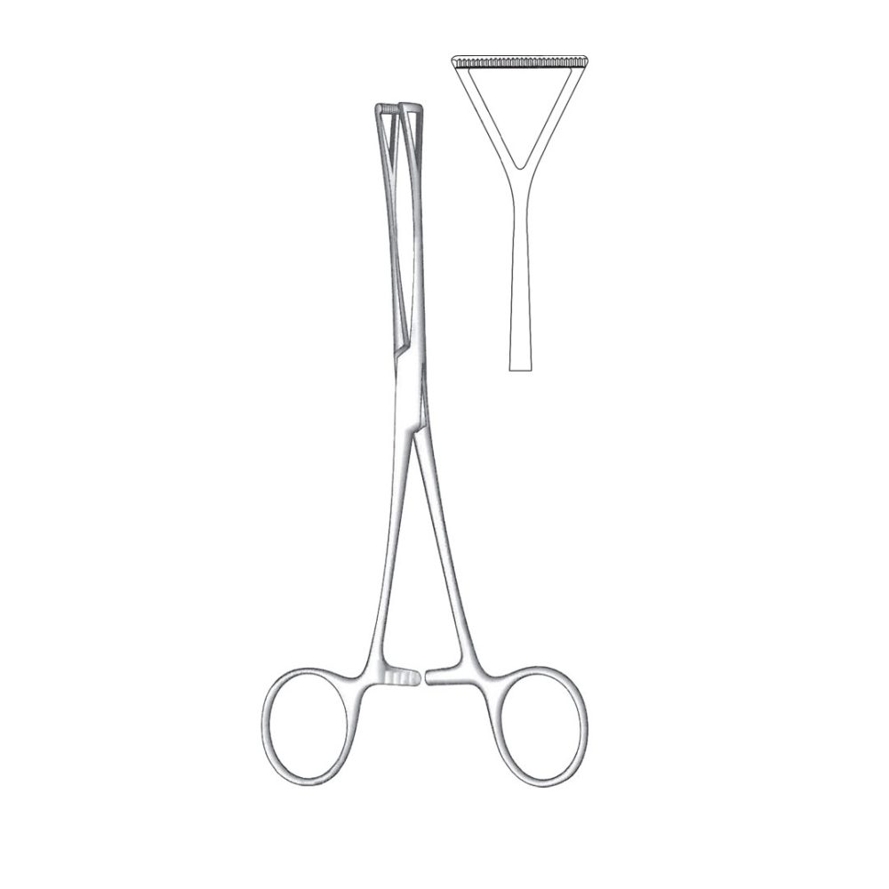 Duval Tissue And Organ Holding Forceps