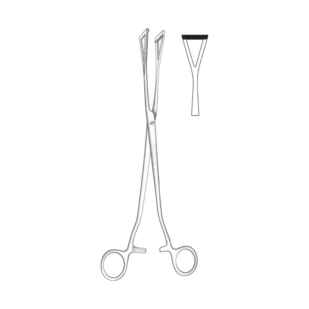 Duval Tissue And Organ Holding Forceps