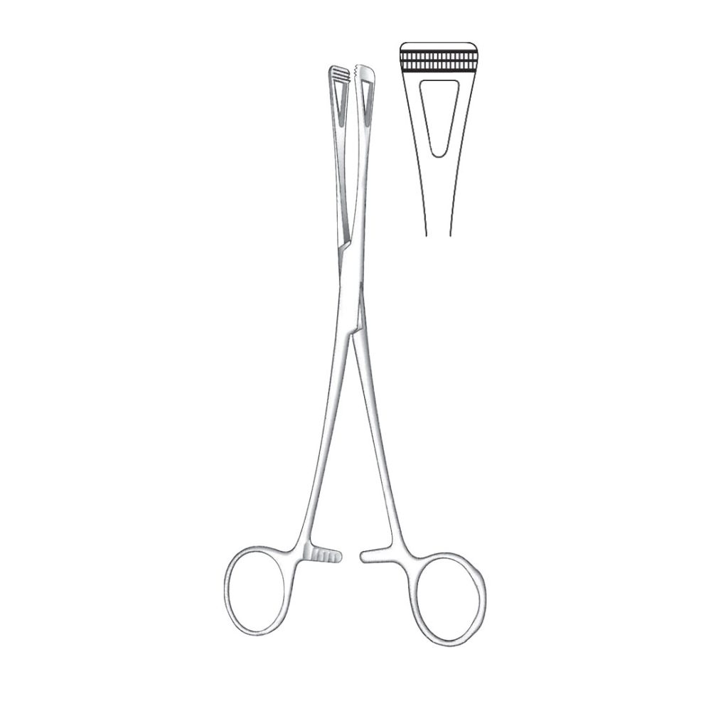 Scheibe Tissue And Organ Holding Forceps Narrow