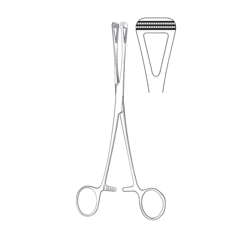 Scheibe Tissue And Organ Holding Forceps Medium