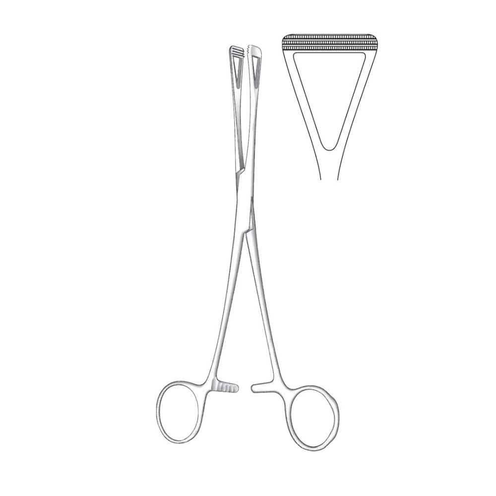 Scheibe Tissue And Organ Holding Forceps