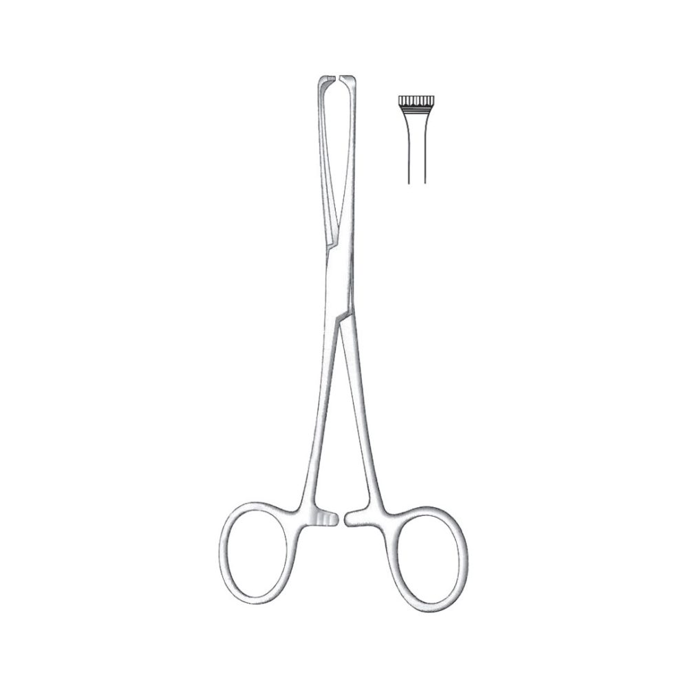 Boys-Allis Tissue And Organ Holding Forceps