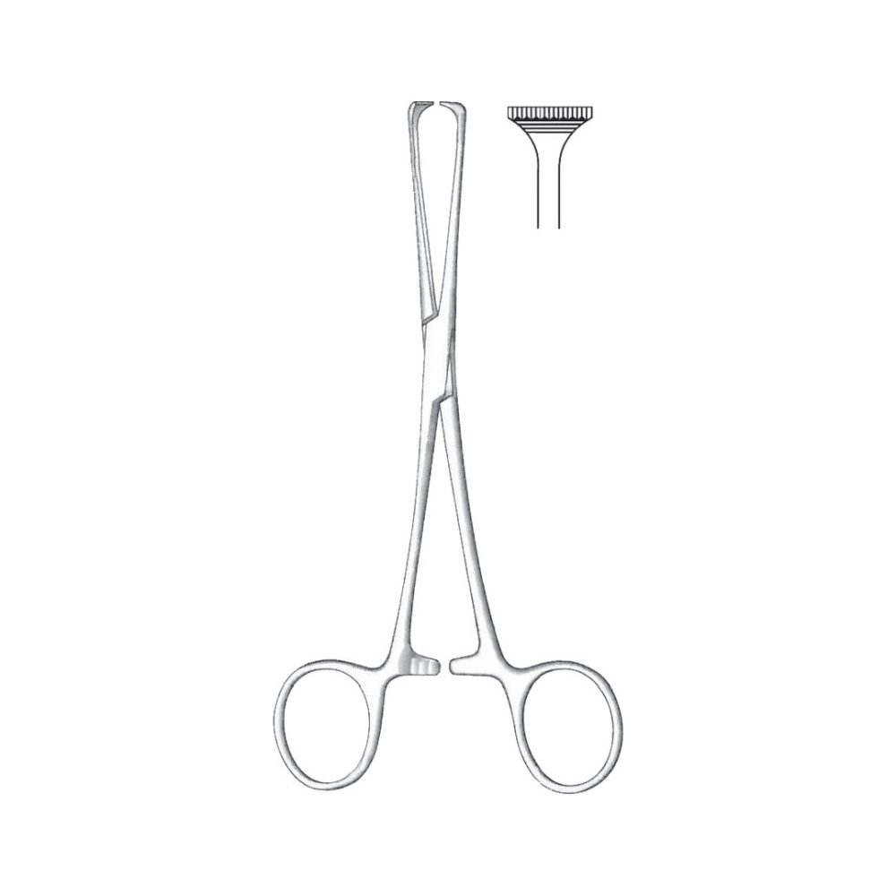 Allis-Adair Tissue And Organ Holding Forceps