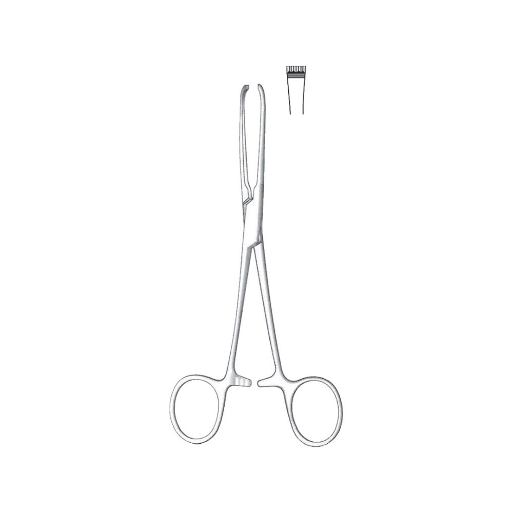 Judd-Allis Tissue And Organ Holding Forceps