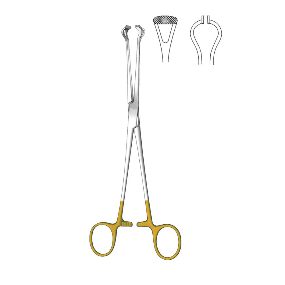 Babcock Tissue And Organ Holding Forceps Intestinal Clamp Forceps Straight Normal Profile Tc Gold, 18 cm / 7”