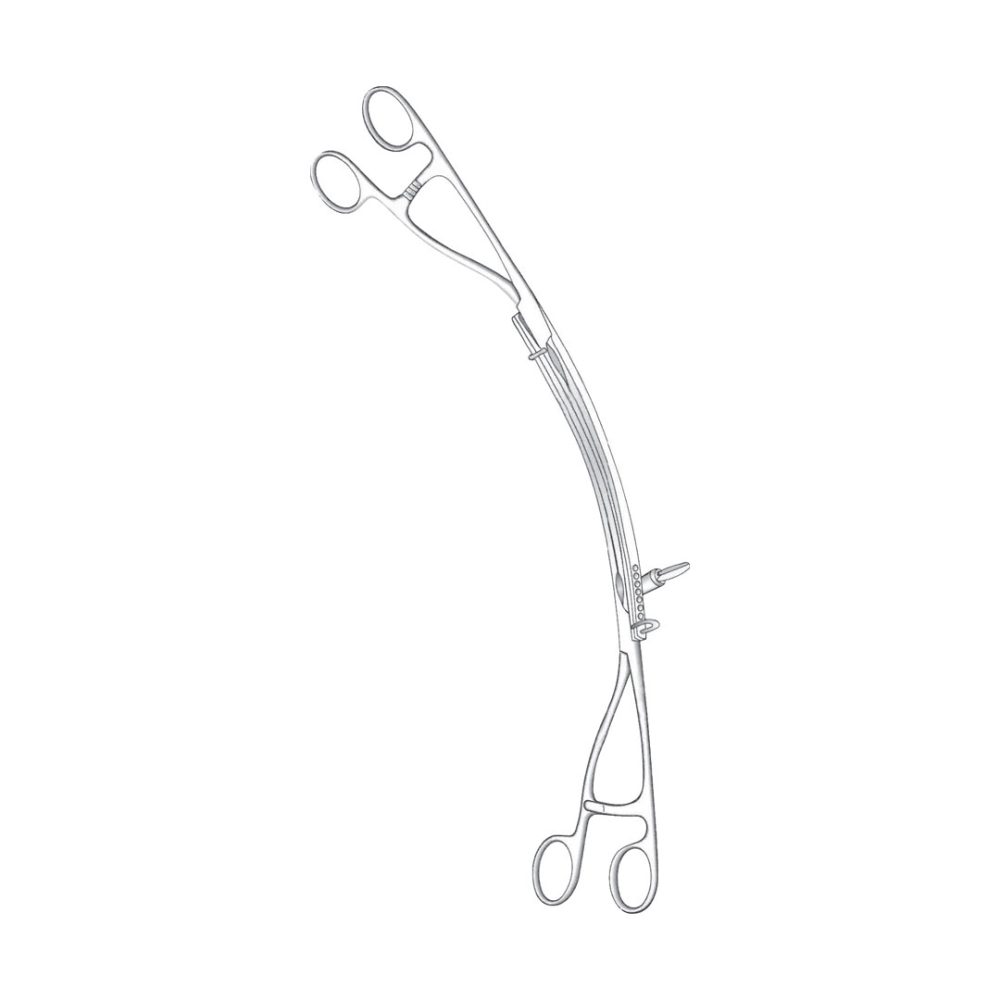 Lane Stomach Clamp Forceps