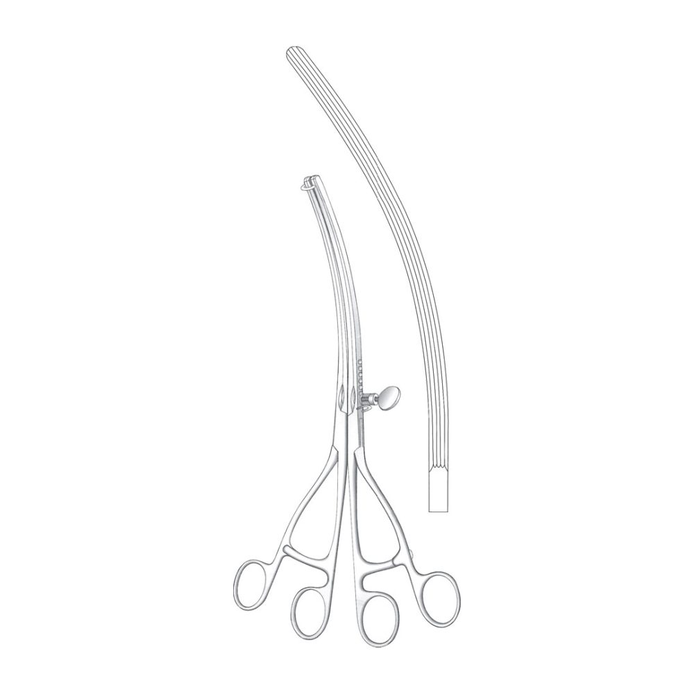 Lane Stomach Clamp Forceps