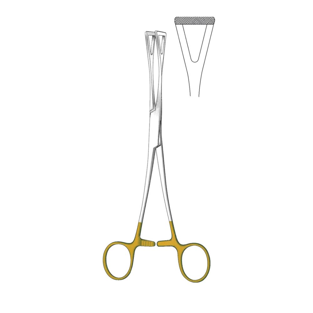 Duval Tissue And Organ Holding Intestinal Clamp Forceps