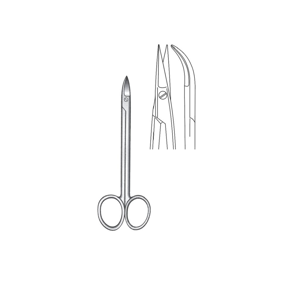 QUINBY FINE OPERATING GUM  and  LIGATURE SCISSORS  12.5 cm